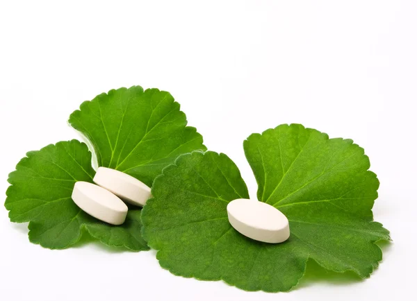 Pastillas en la hoja verde — Foto de Stock