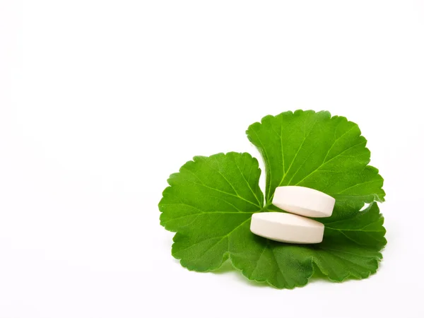 Pastillas en la hoja verde — Foto de Stock