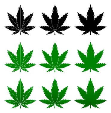  Esrar yaprağı marihuana vektörü renkli illüstrasyon keneviri