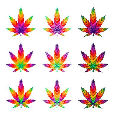  Esrar yaprağı marihuana vektörü renkli illüstrasyon keneviri