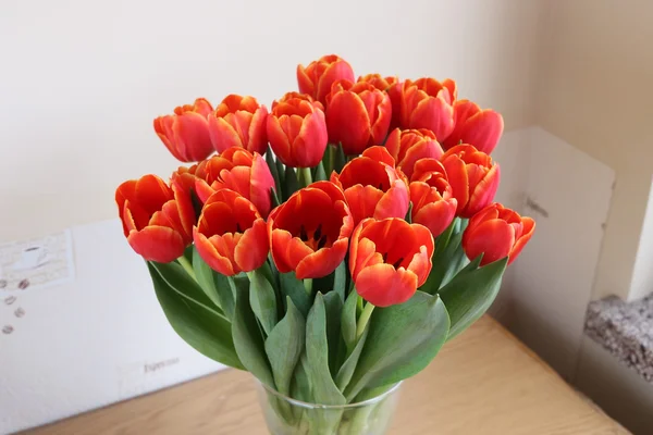 tuplis, kırmızı laleler,