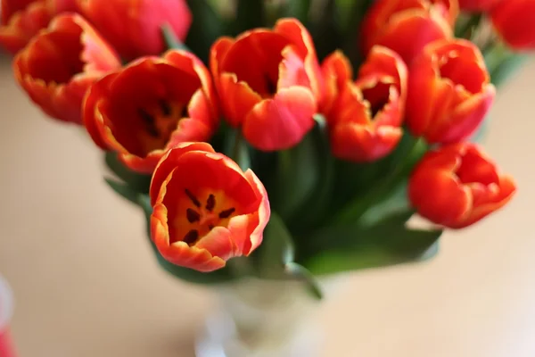 Lale ve kırmızı lale