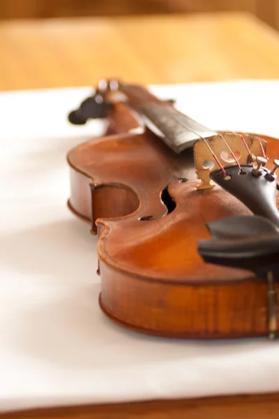 Violino, violino — Foto Stock