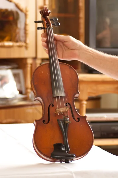 Violino, violino — Foto Stock