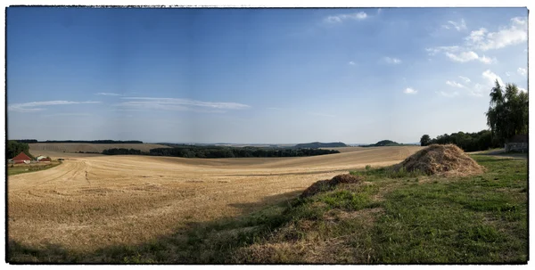 Yaz görüntüle, alan