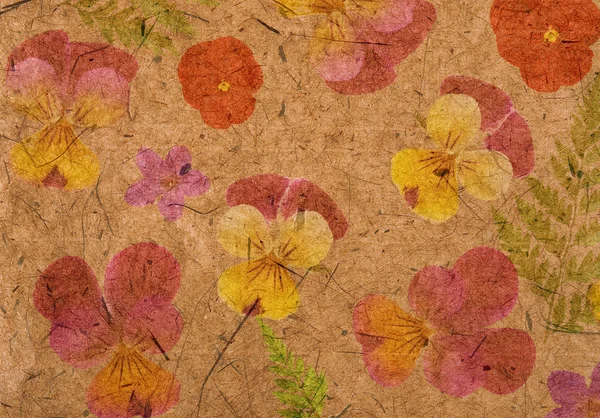 Texture with flowers Pansè — Zdjęcie stockowe