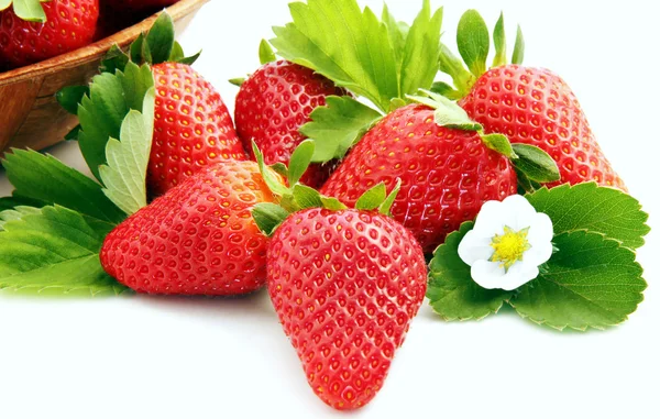 Fruits and flowers of strawberry — Stock Photo, Image