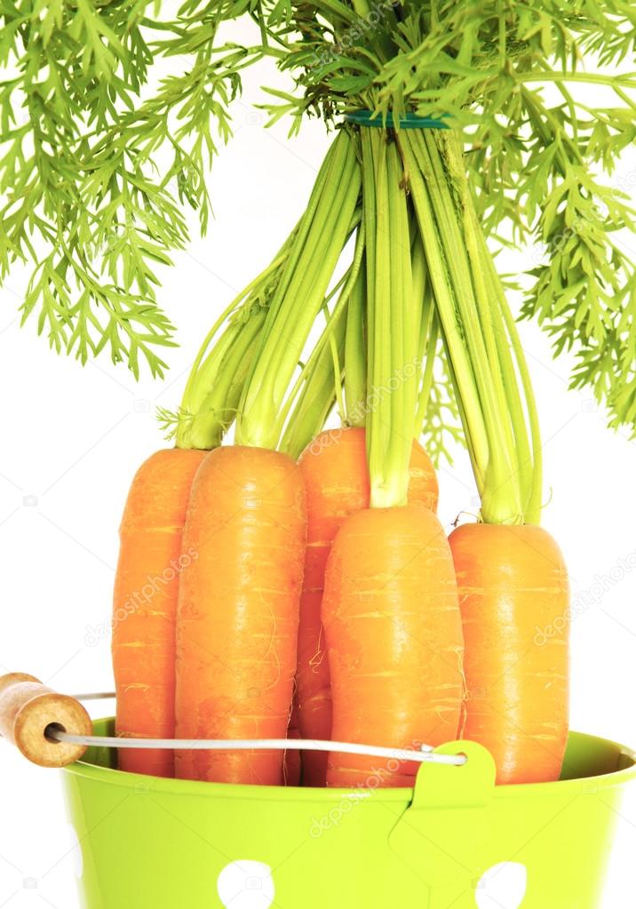 carrots in a bucket