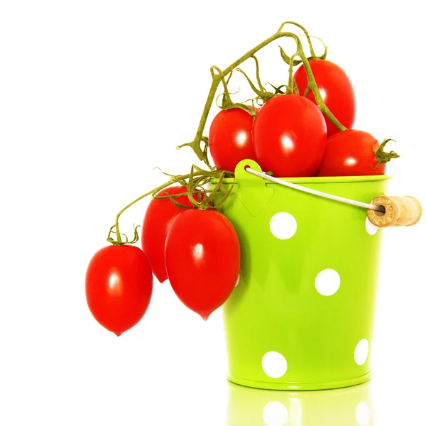 Piccadilly tomatoes in the bucket — Stock Photo, Image