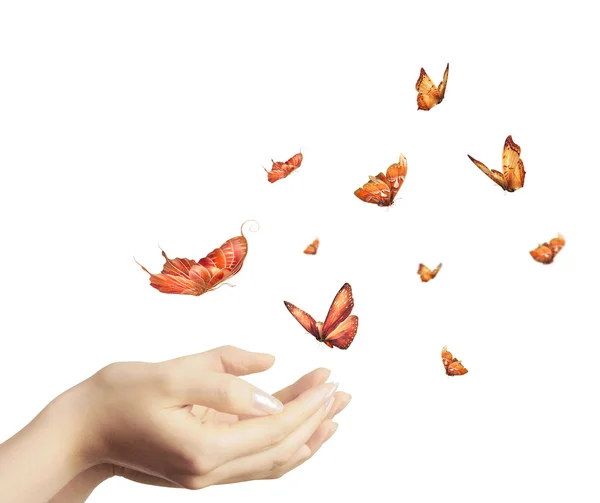 Motýli v ruce Stock Fotografie