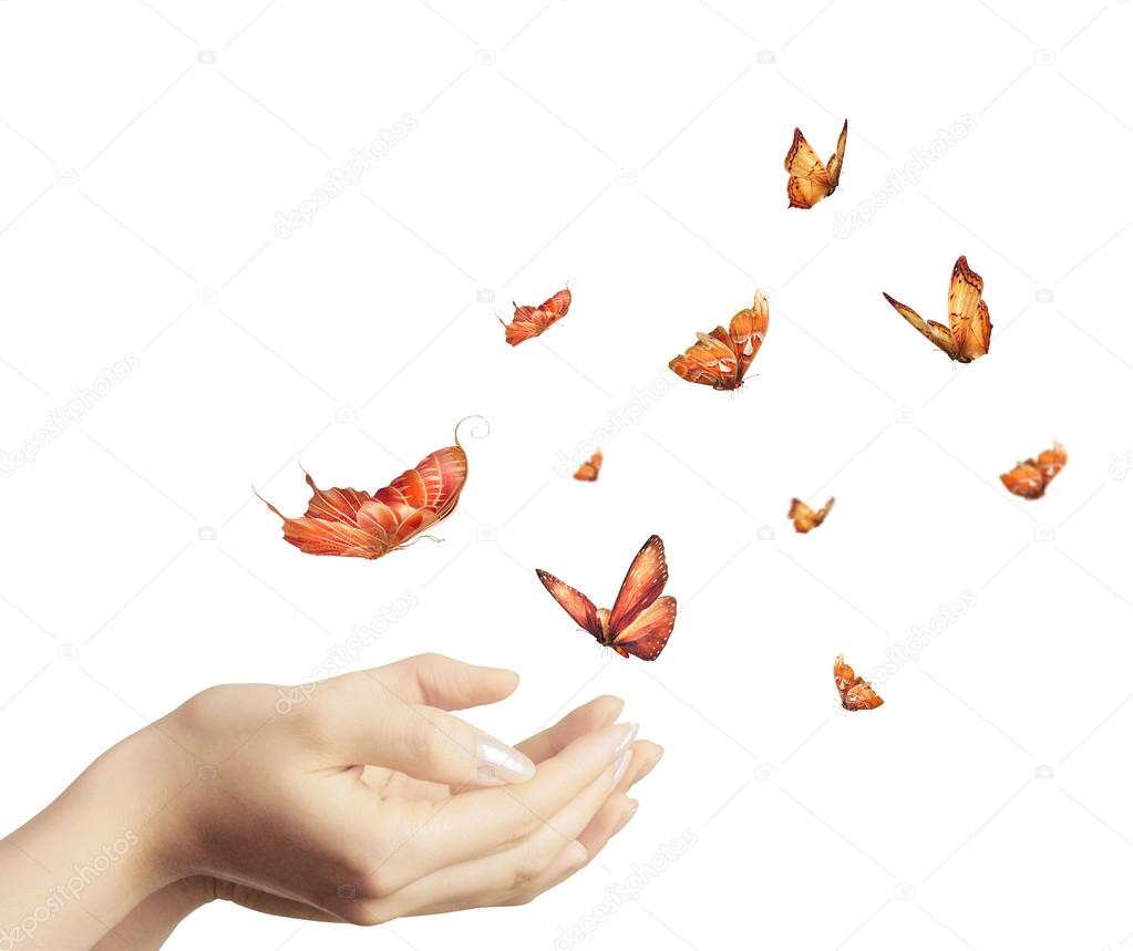 butterflies in hand