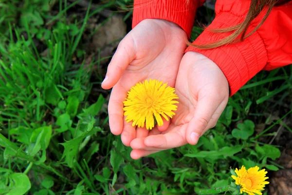 Fiore in mano — Foto Stock