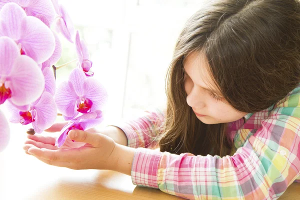 Orkide ile küçük kız — Stok fotoğraf