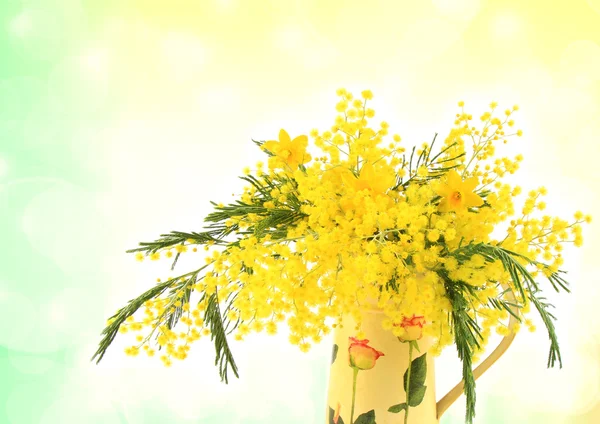 Mimosa och gula påskliljor — Stockfoto