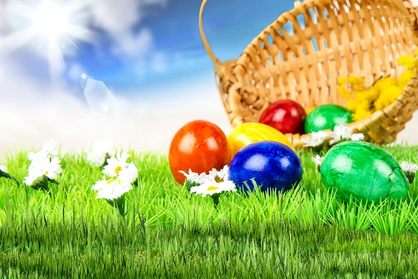 Easter eggs on natural background — Stock Photo, Image