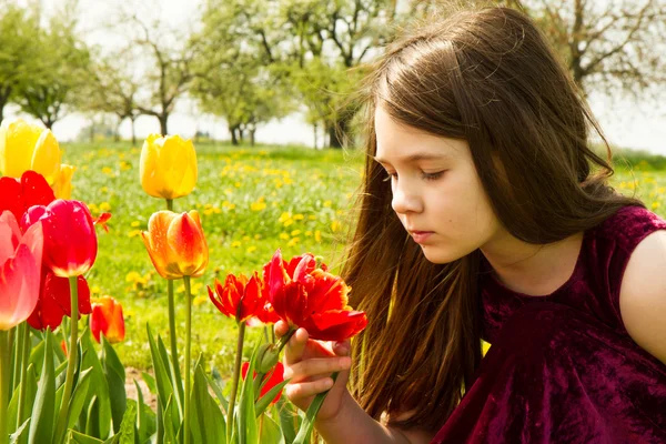 Dívka s tulipány — Stock fotografie