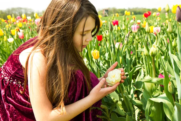 Dívka v zahradě tulipány — Stock fotografie