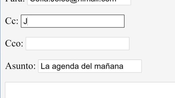 スペイン語 Online Boxのメールアドレスを入力します 炭素コピーを含む入力してください電子メール連絡先オンラインネットワークのウェブサイト ループ に別の受信者ユーザを追加するには を入力します モニター画面の視点 — ストック動画