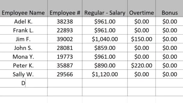 Typing Company Payroll Financial Figures Numbers Current Period Spreadsheet Type — 图库视频影像