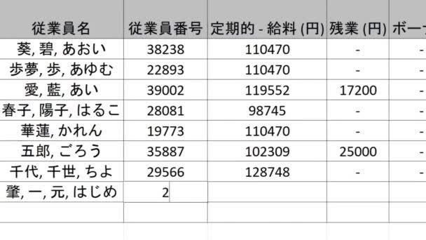 Japonés Typing Company Payroll Financial Figures Numbers Current Period Spreadsheet — Vídeos de Stock