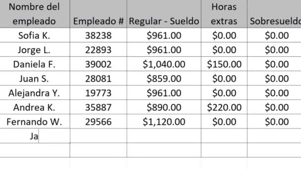 スペイン語 会社のタイプ表計算シートの現在の期間の財務数値をペイロルします ビジネス用のワークシートファイルに 従業員の支払いと残業をアップ と入力します 会社正社員給与 — ストック動画