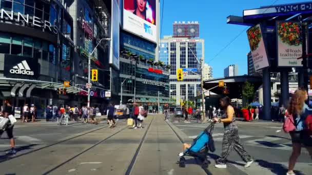 歩行者の多様性と多文化グループは ダウンタウンの街を歩いてください 商業広告付きのエンターテインメント地区の忙しい道路を横断する横断歩道を歩く多人種グループ — ストック動画