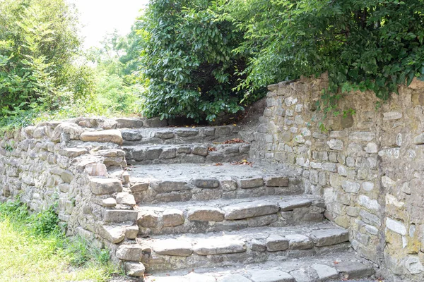 Taştan Yapılmış Eski Bir Merdiven Çalılarla Kaplanmış Zamanla Çökmüş — Stok fotoğraf
