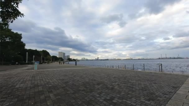 Yokohama Japan 2021 공원에 어슬렁 거리는 사람들의 — 비디오