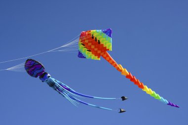 Mavi gökyüzü karşı renkli uçan uçurtma
