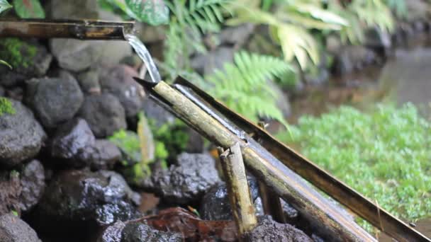 Bamboe Wip Met Behulp Van Een Fontein Stromend Water Traditioneel — Stockvideo