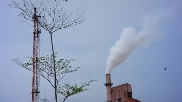 工場の煙が出るのを見ています 企業による大気汚染は自然を傷つけ不健康なものにします — ストック動画
