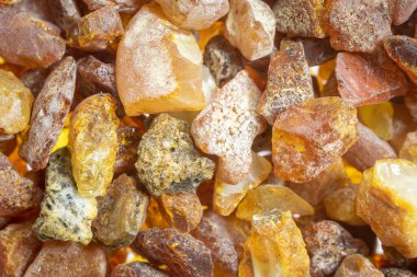 Görünür detayları olan Baltık kehribarı. arkaplan veya doku