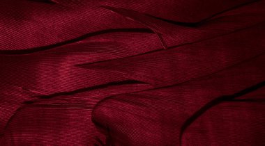 kırmızı tüyler arka plan veya görünürdeki detaylar