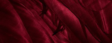 kırmızı tüyler arka plan veya görünürdeki detaylar