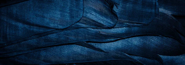 Голубые Перья Видимыми Деталями Фоном Текстурой — стоковое фото