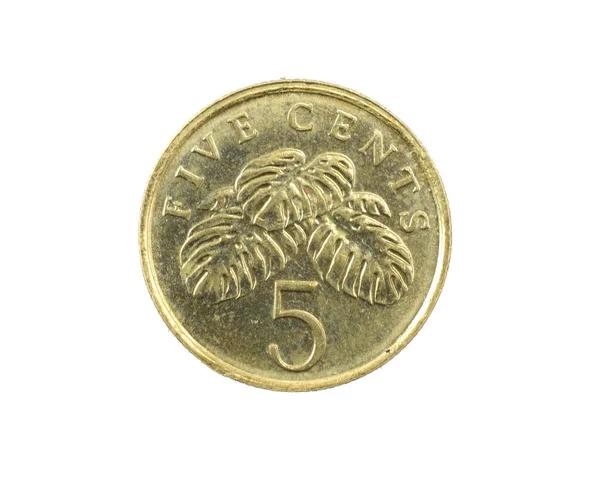 Сингапур Монеты Пять Центов Белом Изолированном Фоне — стоковое фото