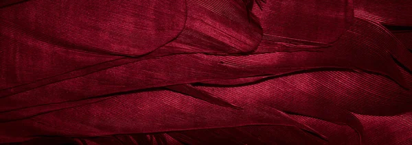 kırmızı tüyler arka plan veya görünürdeki detaylar