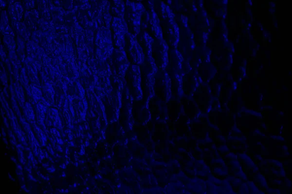 Abstrakcyjne Ciemnoniebieskie Tło Widocznymi Szczegółami — Zdjęcie stockowe