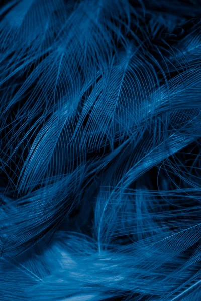 Plumes Noires Bleues Avec Des Détails Visibles Fond Textura — Photo