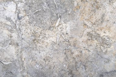 limestone with visible details. background or texture