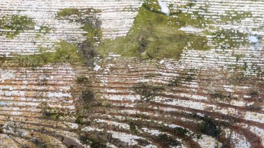 Beyaz boyayla boyanmış eski bir tahta. arkaplan veya doku