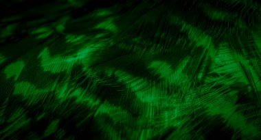 Yeşil şahin tüyleri görünür detaylarla. arkaplan veya doku