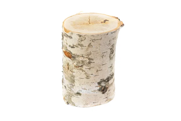 Cut Birch Branch White Background Isolated — Stock Photo, Image
