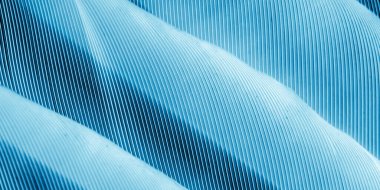 Mavi tavuk tüylerinin makro fotoğrafı. arkaplan veya doku