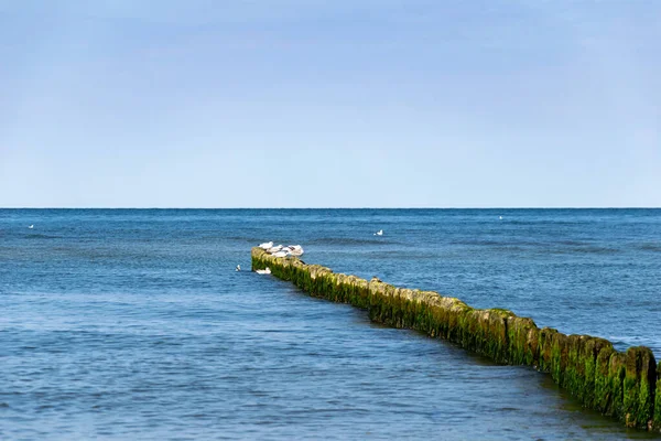 Mar Azul Contra Pano Fundo Céu Agradável Dia Ensolarado — Fotografia de Stock