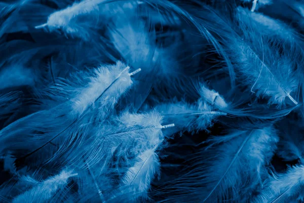 青い羽のマクロ写真です 背景やテクスチュラ — ストック写真