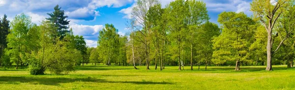 Parkta yol güzel güneşli bir günde