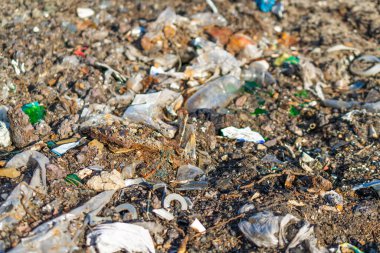 Vahşi çöp yığını. Kalan camlar, ormandaki plastikler.