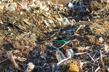 Vahşi çöp yığını. Kalan camlar, ormandaki plastikler.