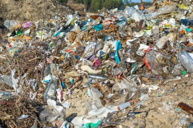 Vahşi çöp yığını. Kalan camlar, ormandaki plastikler.